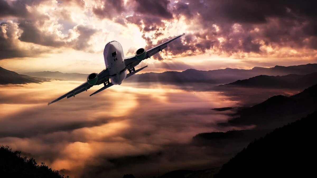 Фото: pxhere.com