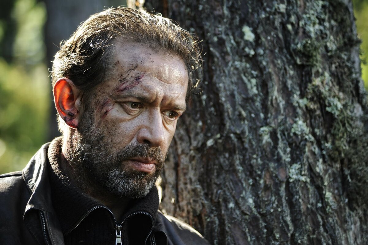 Из открытых источников