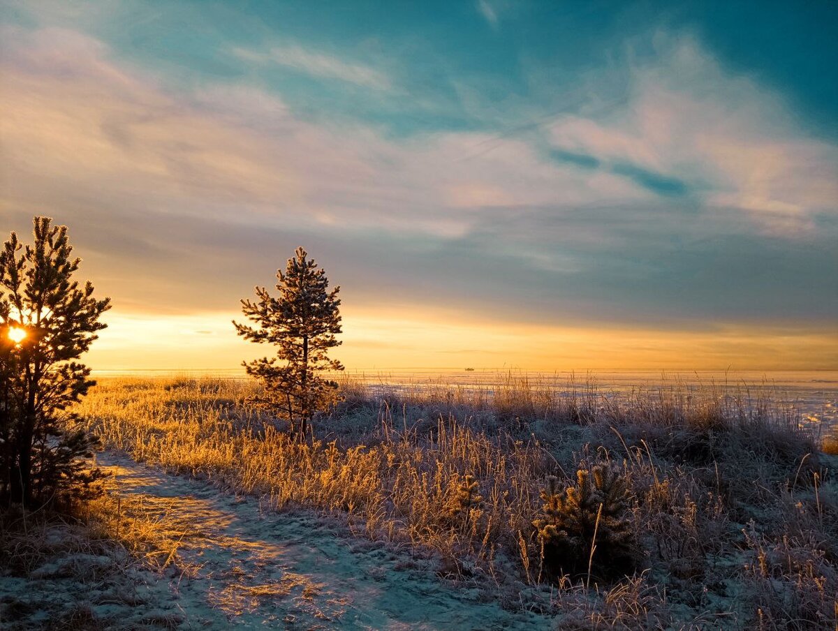 Секс знакомства