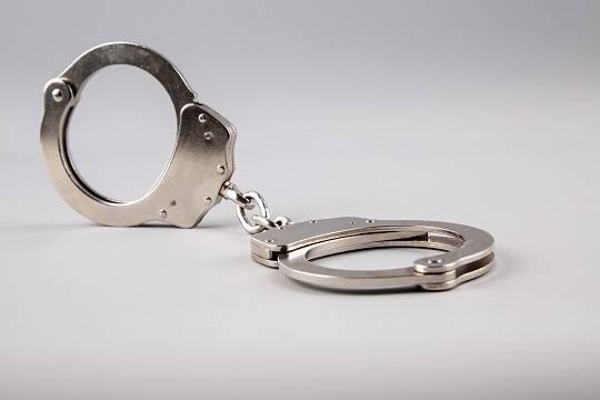    В Петербурге депутата арестовали по делу о хищении 20 миллионов бюджетных средств