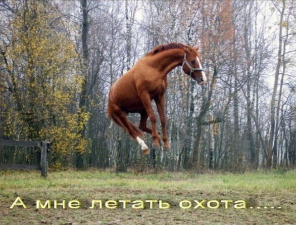 Вот такие