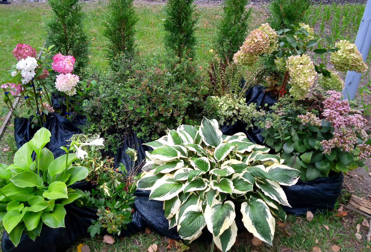 Фото из личного архива 