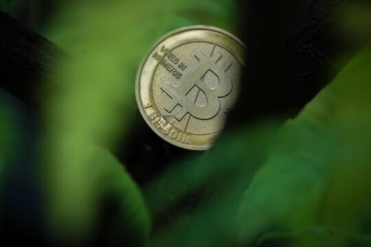    Изображение: Raphael Wild (unsplash)