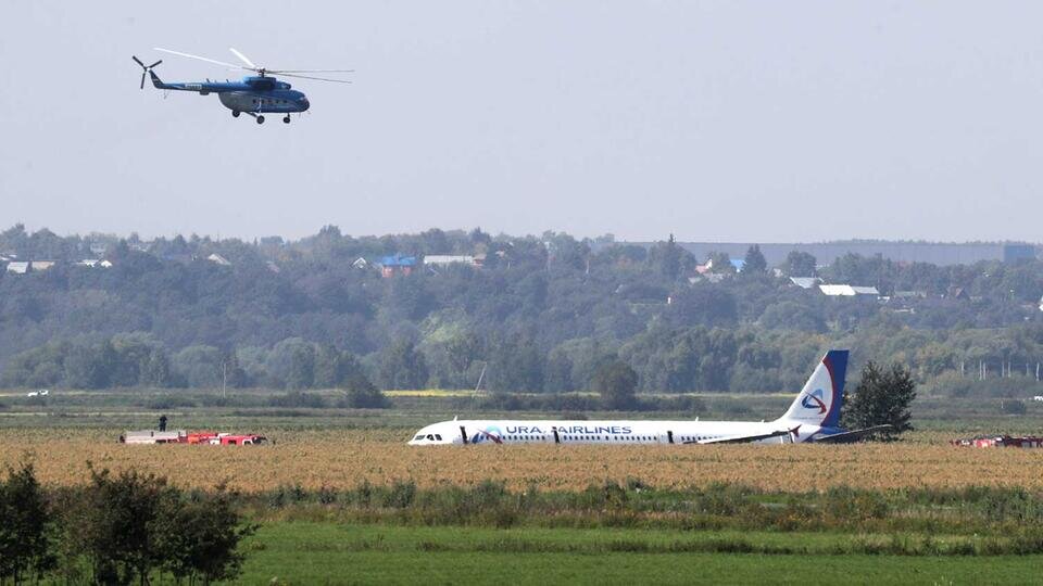 Фото: © ТАСС/Вячеслав Прокофьев