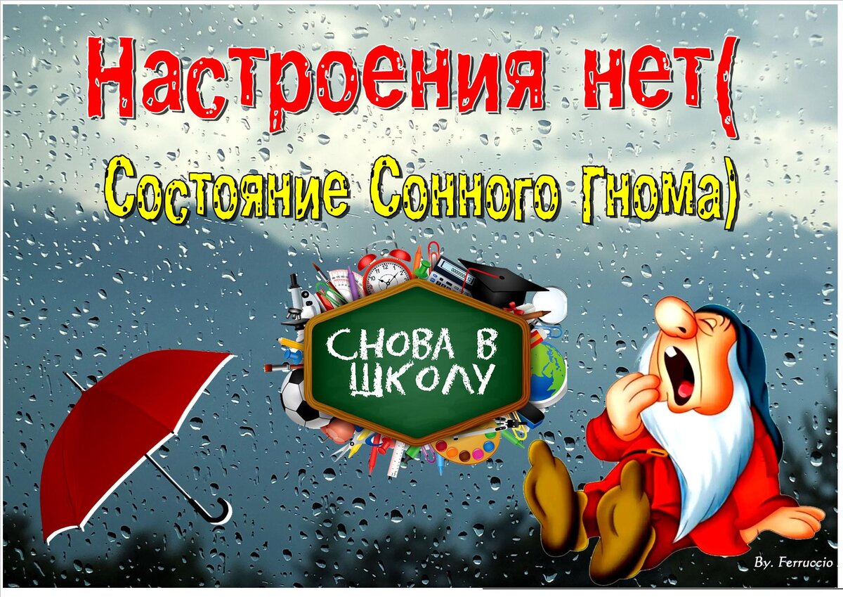 Пришел дождь и холод и обвалилось настроение на минус)Пропали активные  подписчики! | БЛОГЕРСКАЯ ОКРОШКА | Дзен