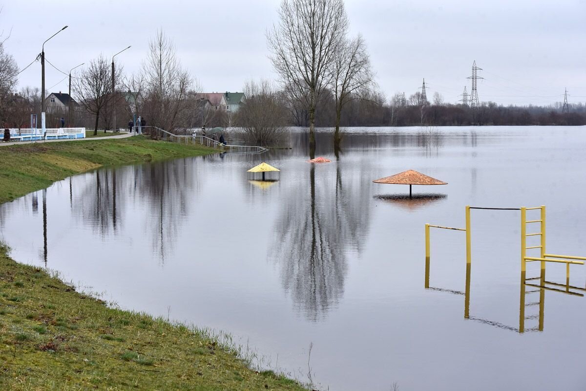 Вода в гомеле. Гомель затопило апрель 2023. Гомель СОЖ. Озера Белоруссии. Гомель наводнение