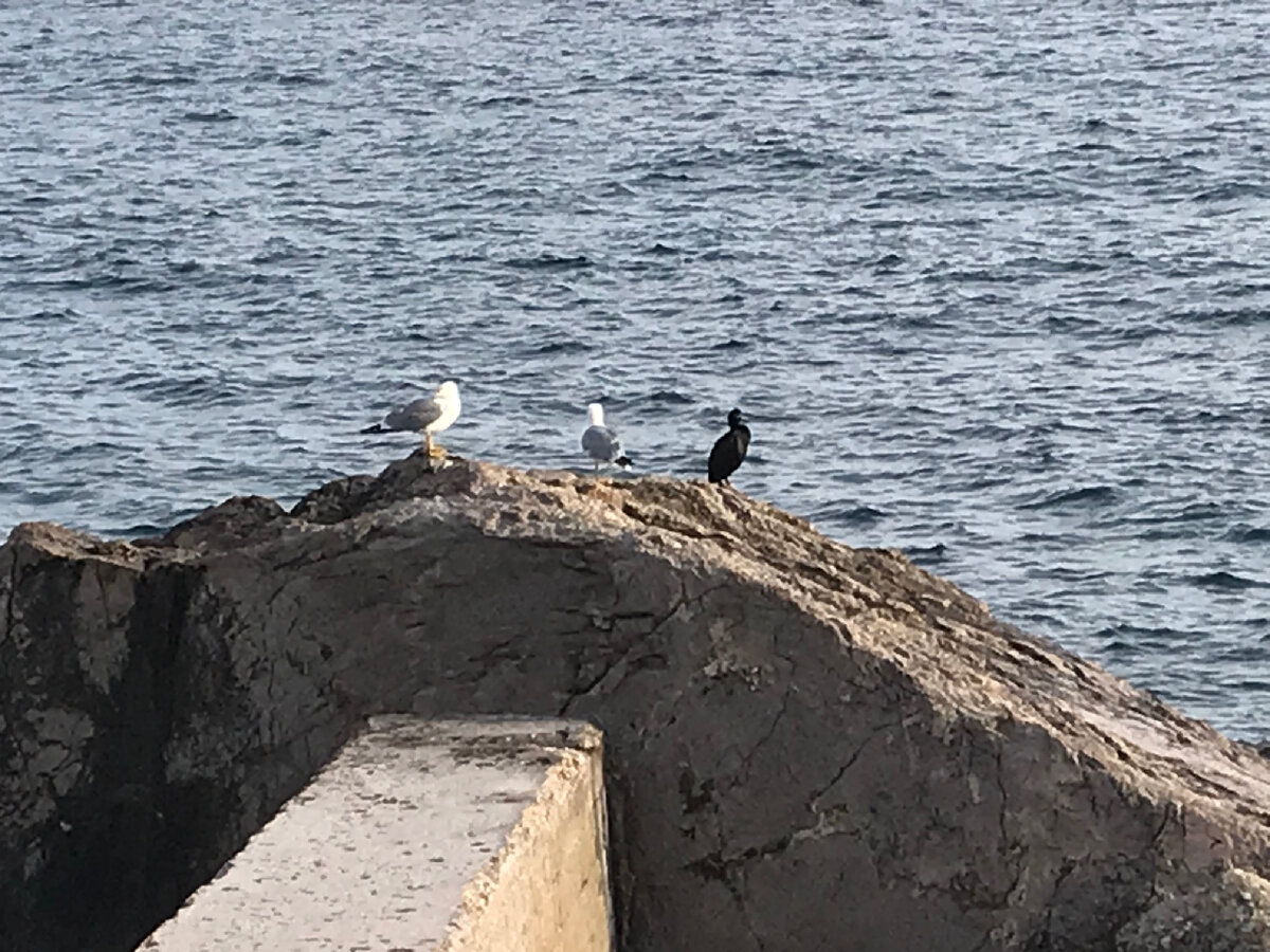 Крымчане в ожидание туристов