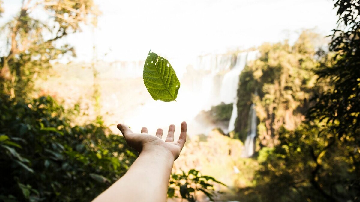     В регионе стартуют Дни защиты от экологической опасности. Всероссийская акция проходит с 1996 года под девизом «Экология — Безопасность — Жизнь».