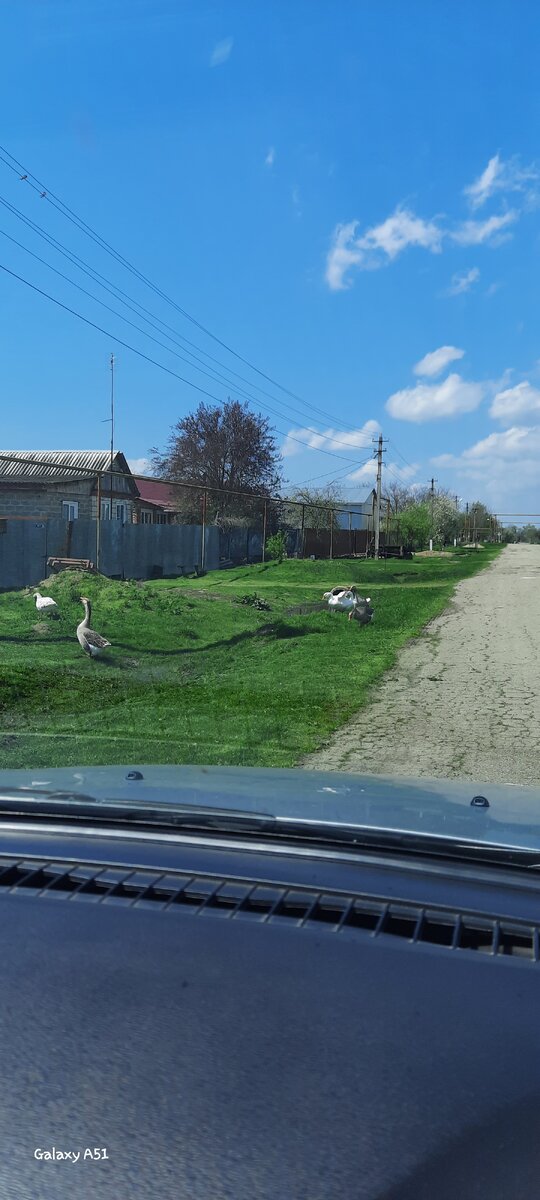 Деревня, она такая