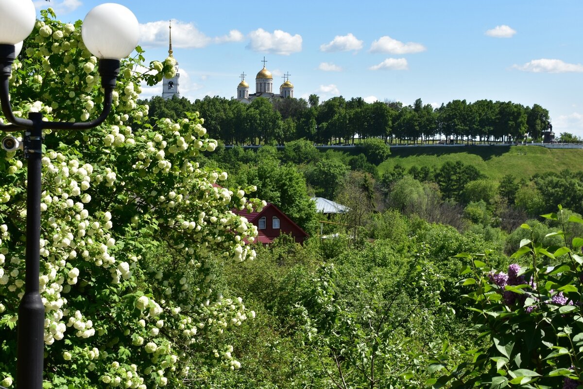 город владимир парки