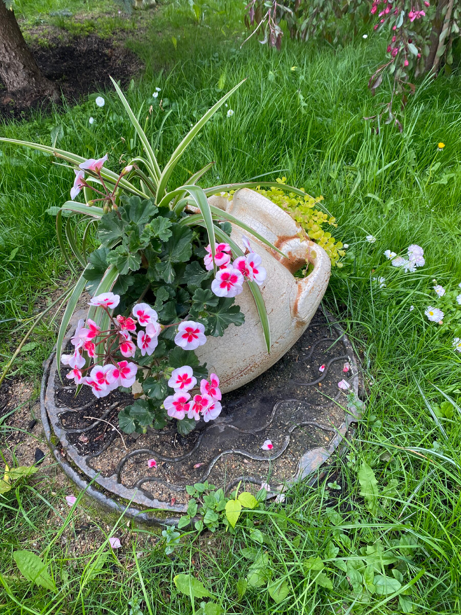 Бывают и такие клумбы