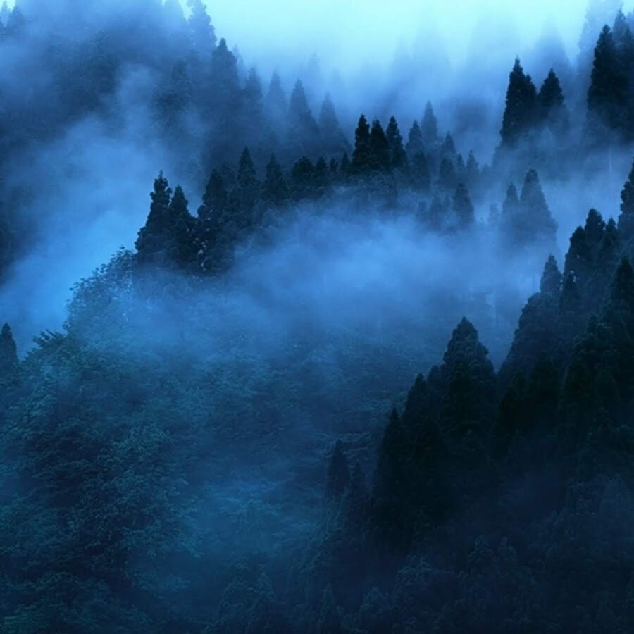 Загадочный туман. Туман мистика. Загадочный туманчевый лес. Туманный мистический Петербург фото. Загадочные туманы