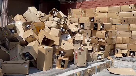    У производителя "Мистера Сидра" изъяли 25 тысяч литров напитков Анна Оленькова