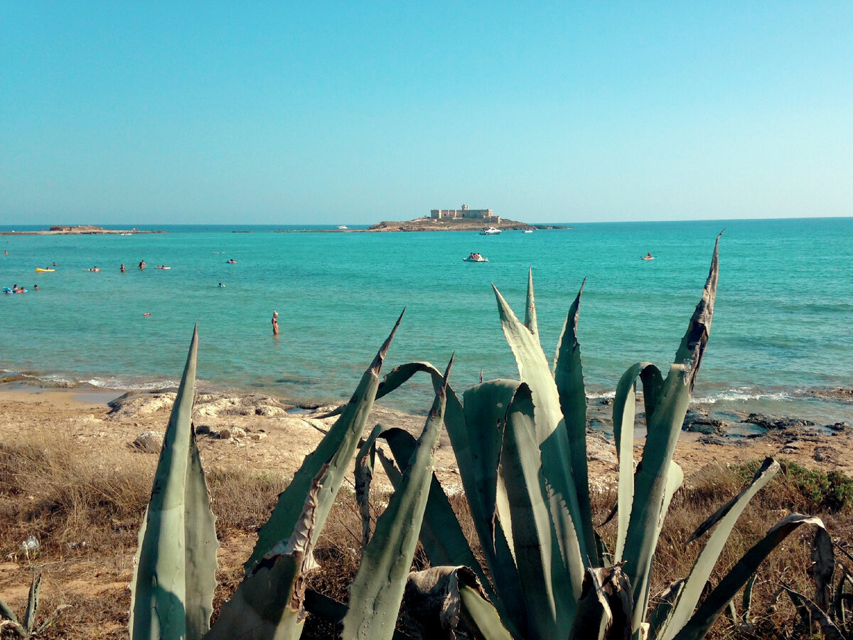 Иллюстрация - Unsplash.com