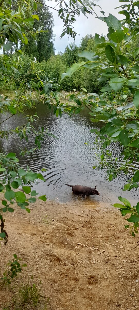 Фото автора