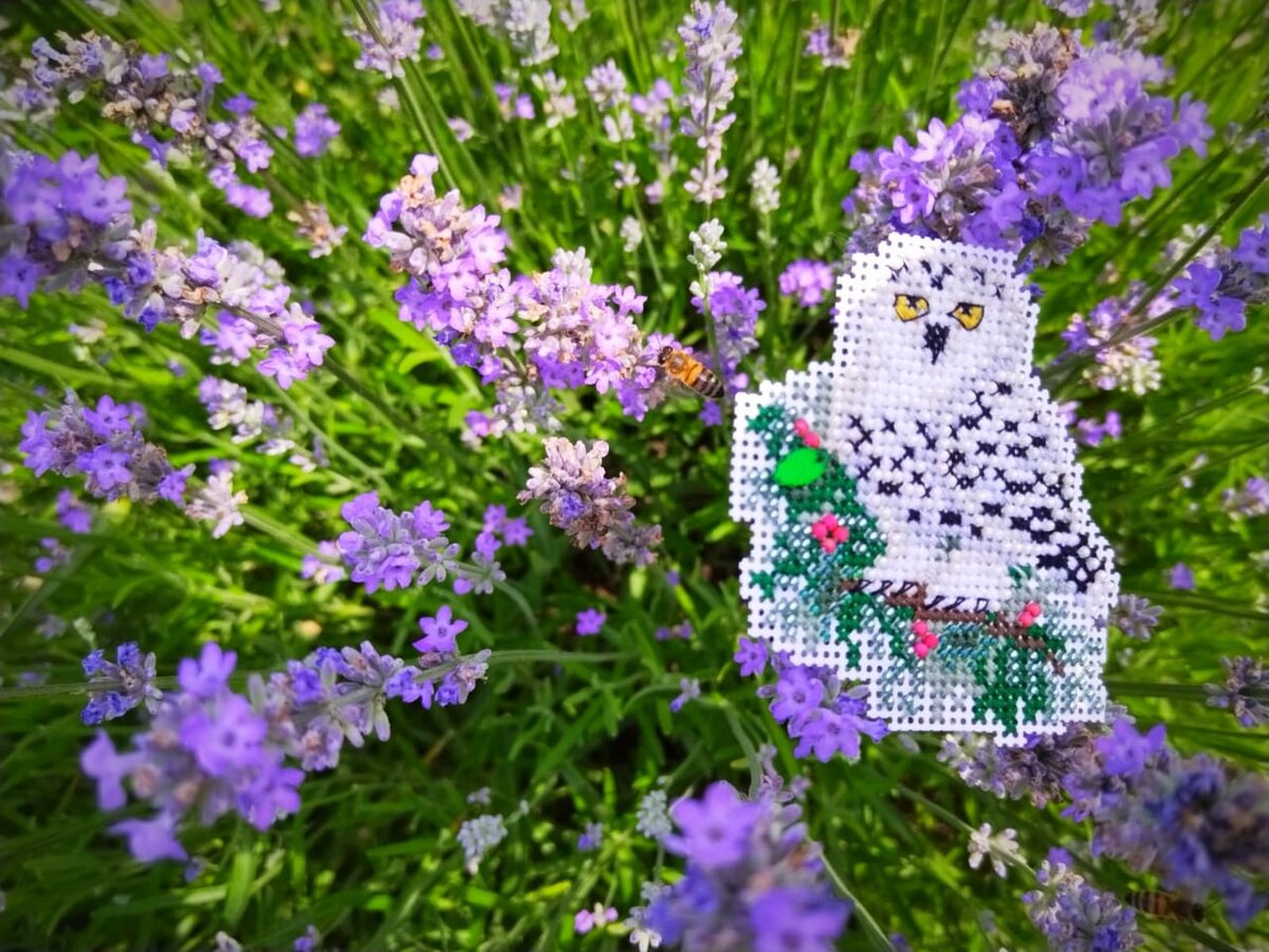 Белоснежная красавица полюбовалось пчёлками, а пчёлки - снежной совушкой