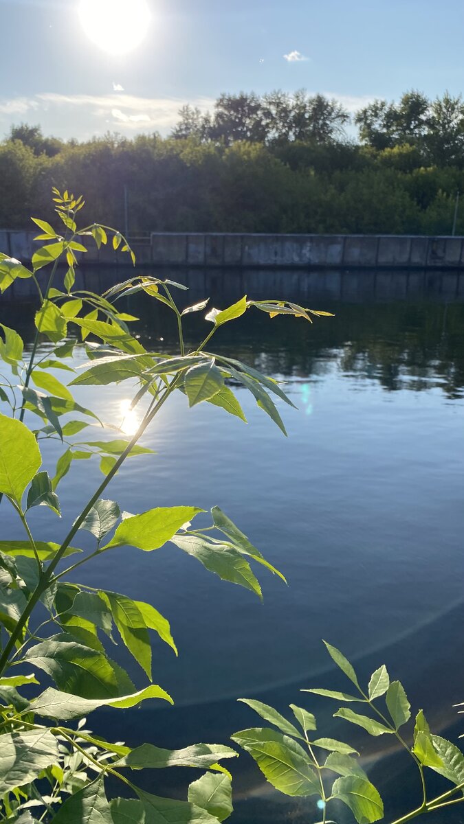 Фото из архива автора