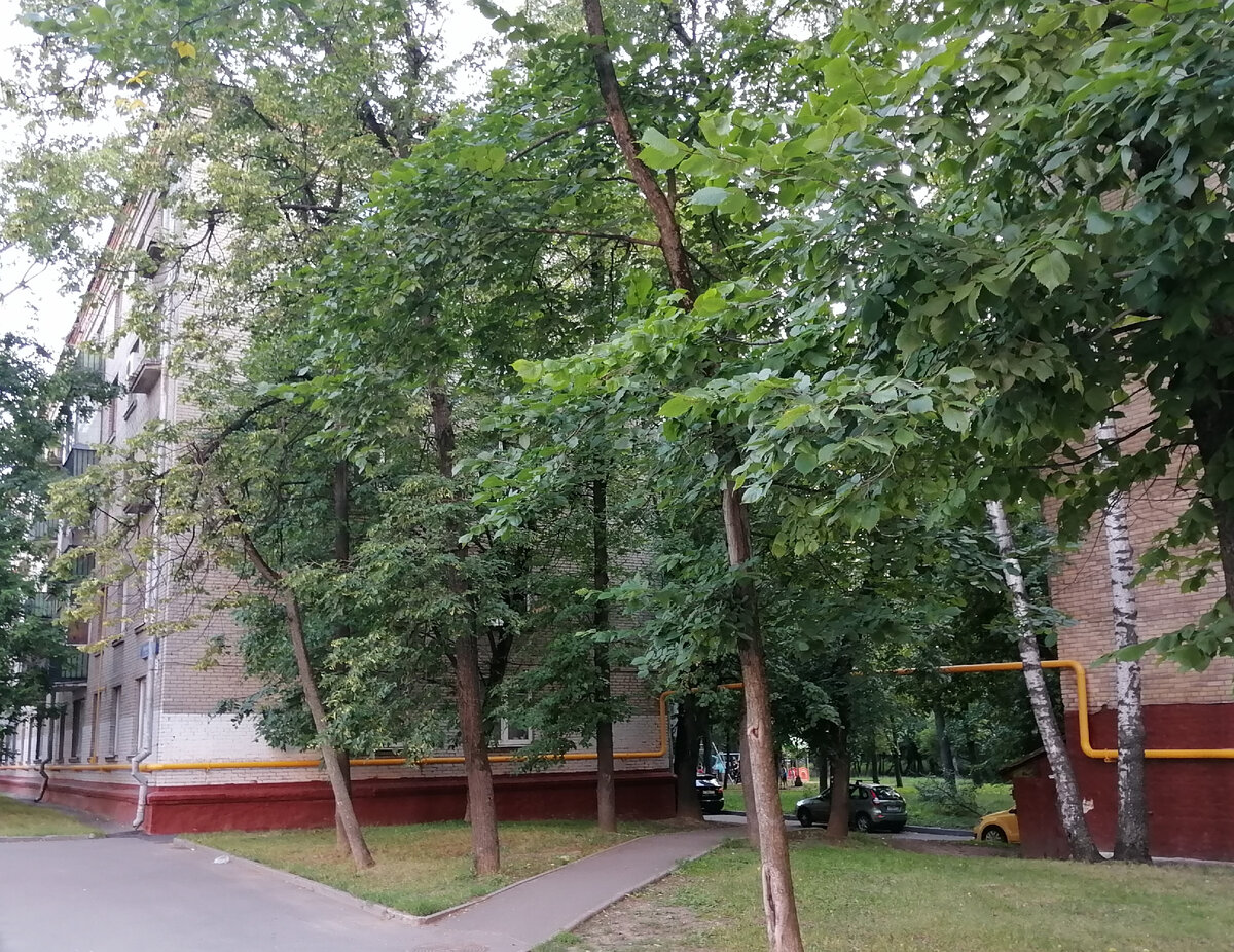 Вот такая пятиэтажка