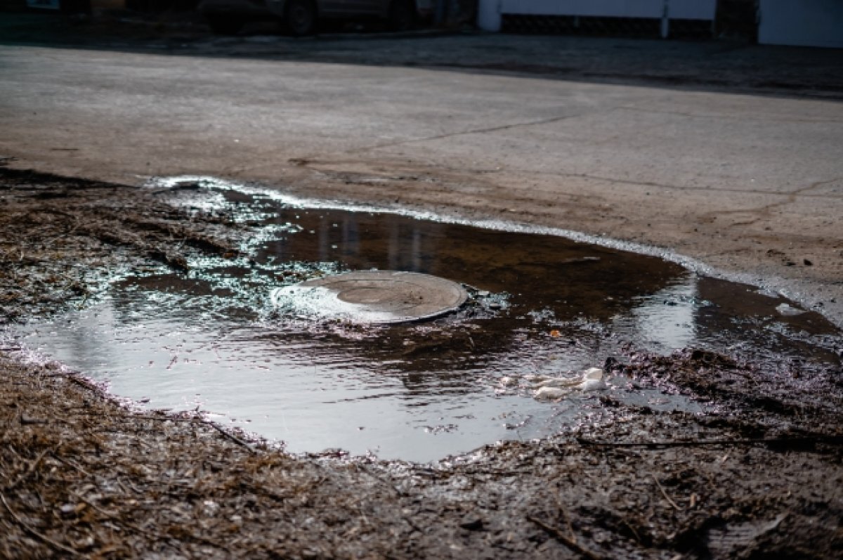    Глава «Инфоштаба» Александр Алымов предложил Олегу Князеву сменить работу