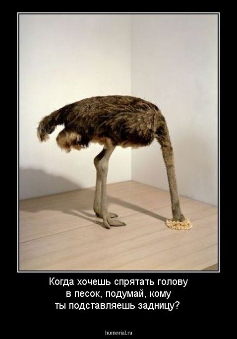 Картинка взята из открытых источников для целей иллюстрации.