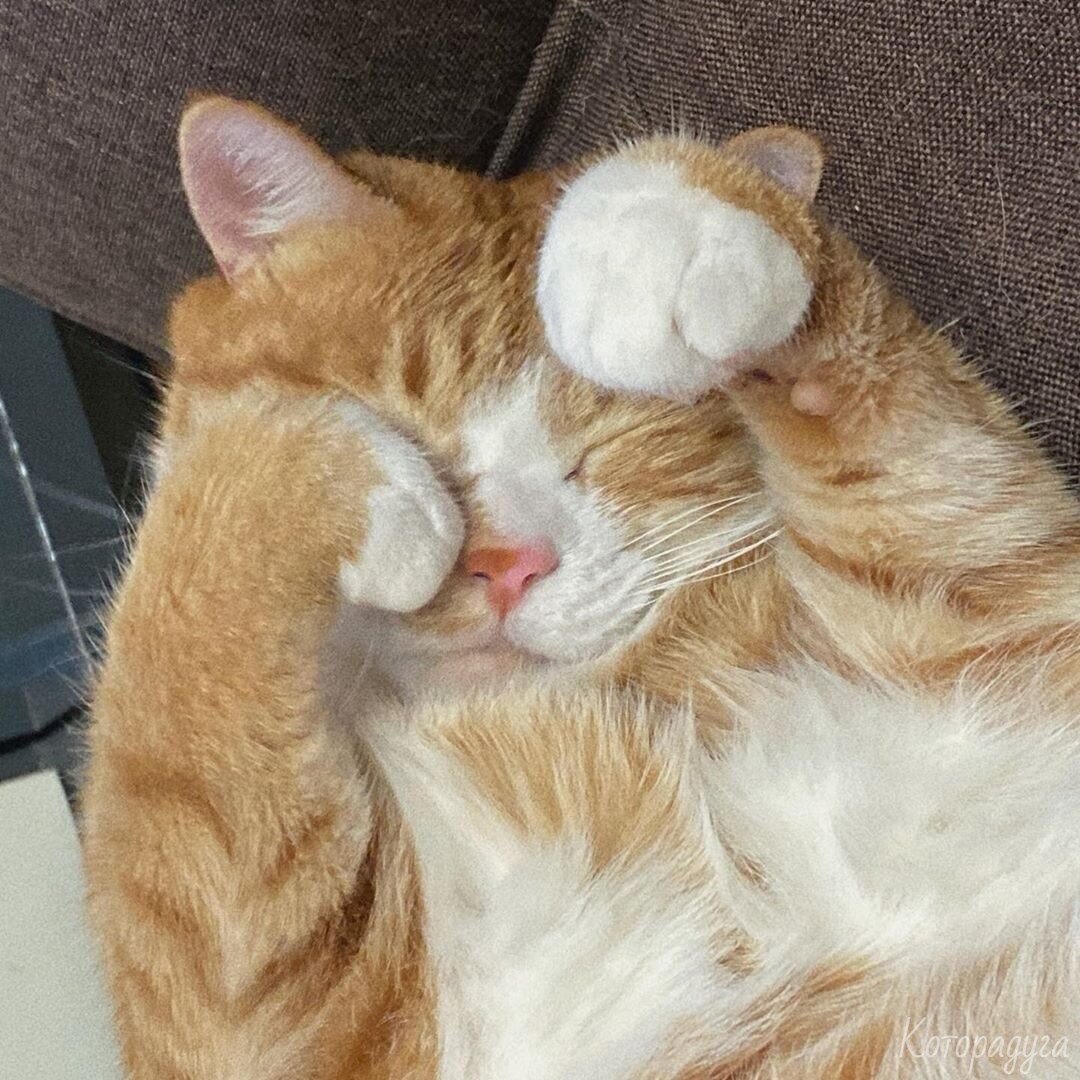 Источник: pinterest.com