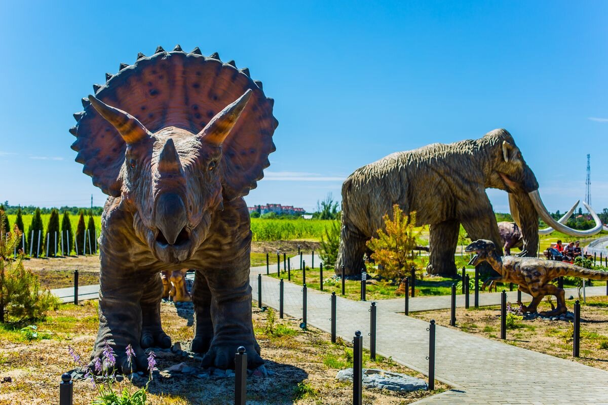    пресс-служба Янтарного комбината