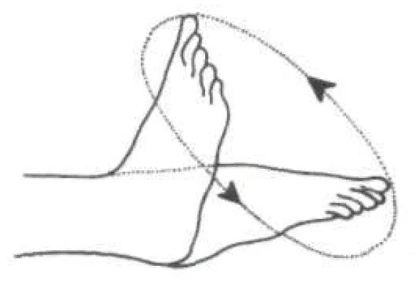 Разгибание пальцев ног. Круговые движения в голеностопном суставе. Упражнения круговые движения голеностопным суставом. Вращение ног в голеностопном суставе. Круговые вращения в голеностопном суставе.
