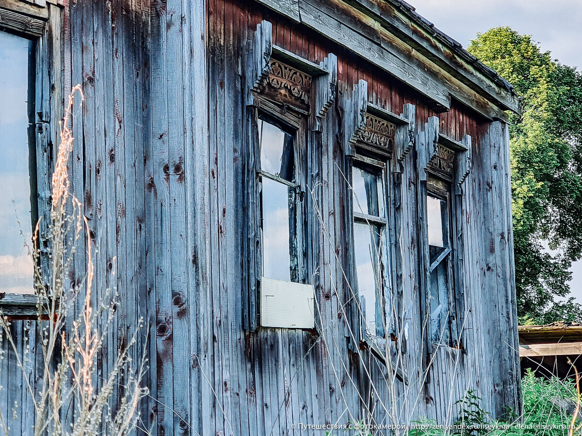 🏚Заметила заброшенный дом в поле. Решила пролезть через крапиву и  посмотреть, что внутри | Путешествия с фотокамерой | Дзен