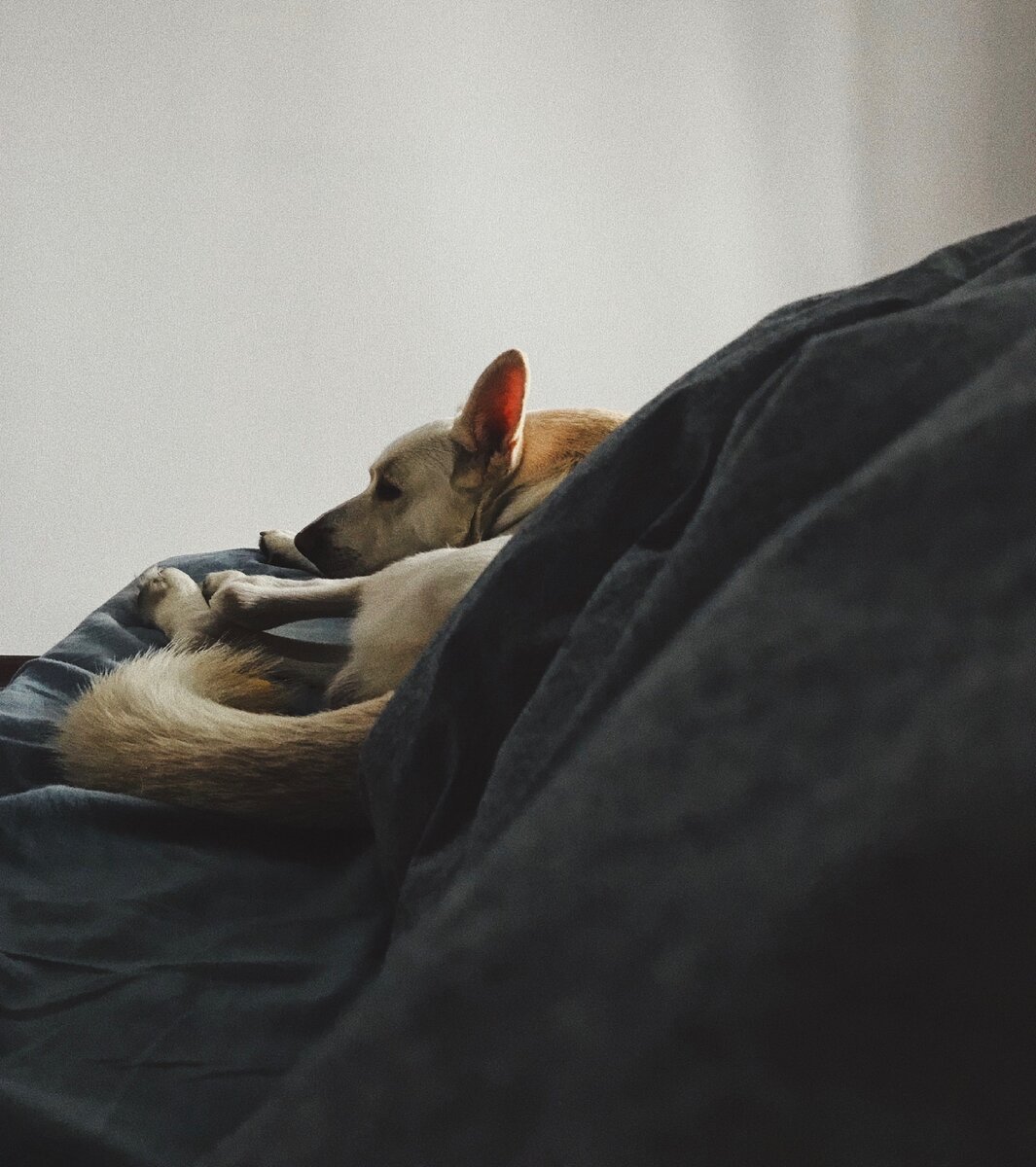 Джей пережидает дождь