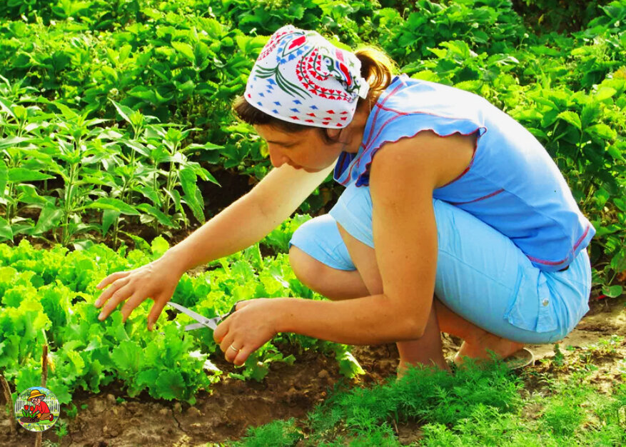 Фото взято из открытого источника в Интернете. https://avatars.mds.yandex.net/get-zen_doc/3769427/pub_5ef3705f7e65bd4eb88c7032_5ef8bf3d0c0e4d78e21985fd/scale_1200