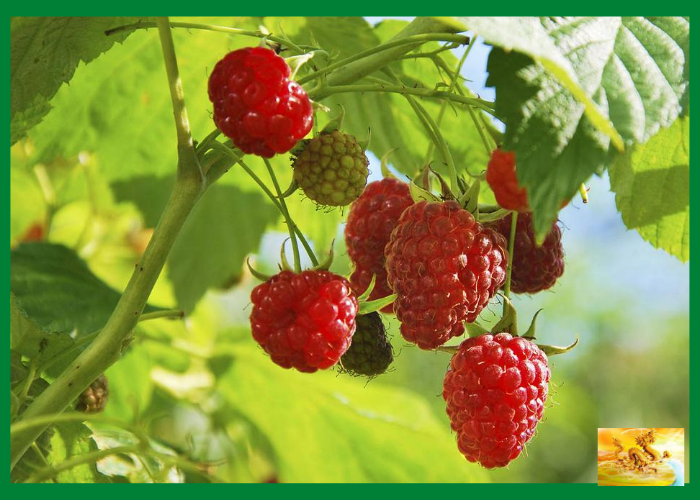 Ставьте лайки и подписывайтесь на мой канал