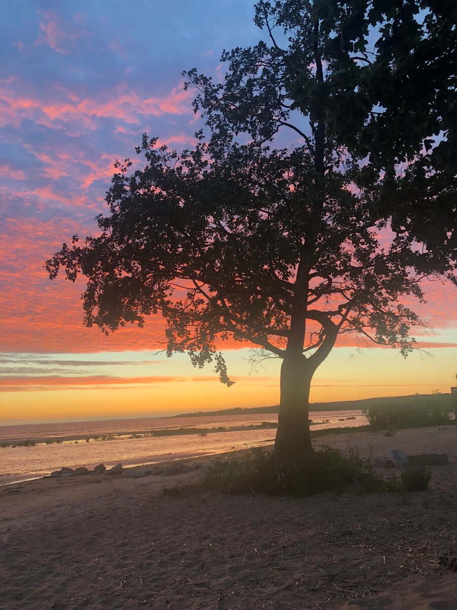 Берег финского залива 