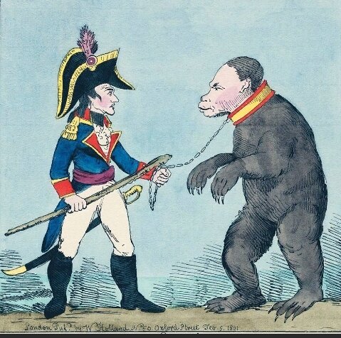 изображение из открытых источников яндекса