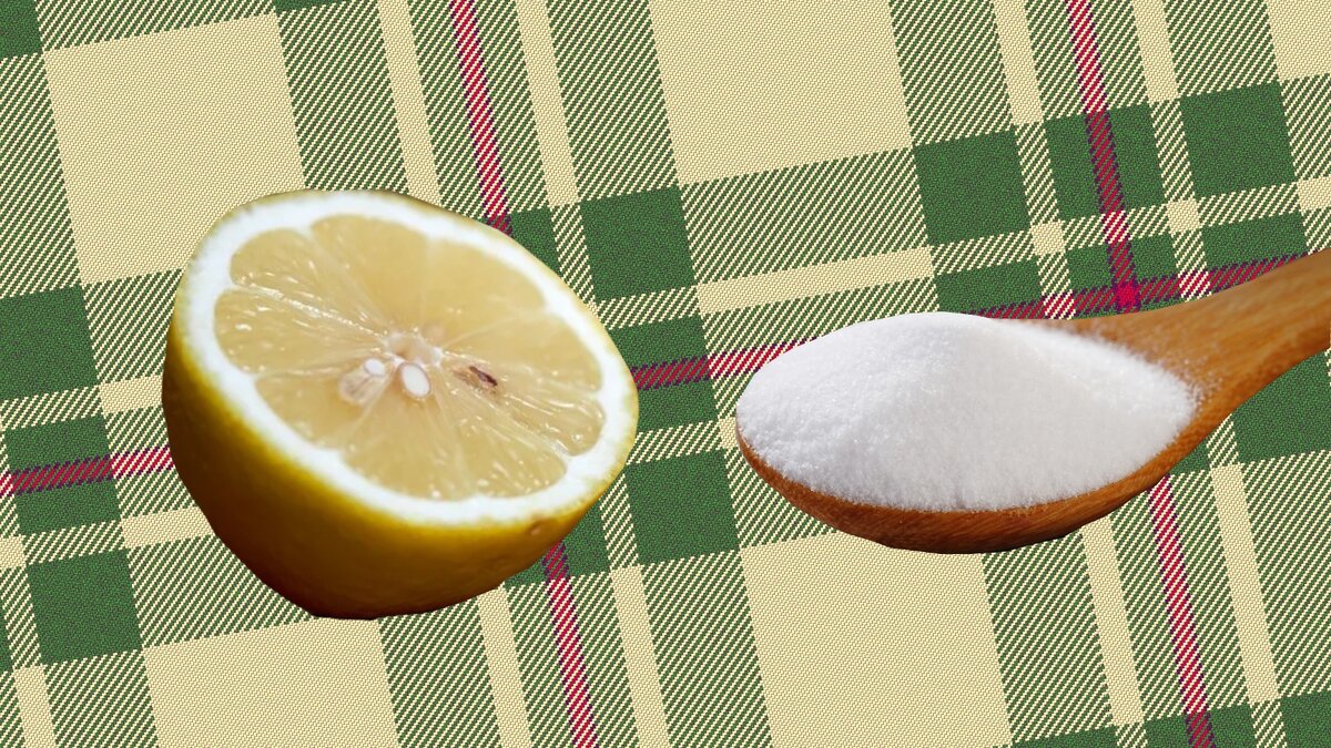 Дочитывайте статью до конца и подписывайтесь на канал 