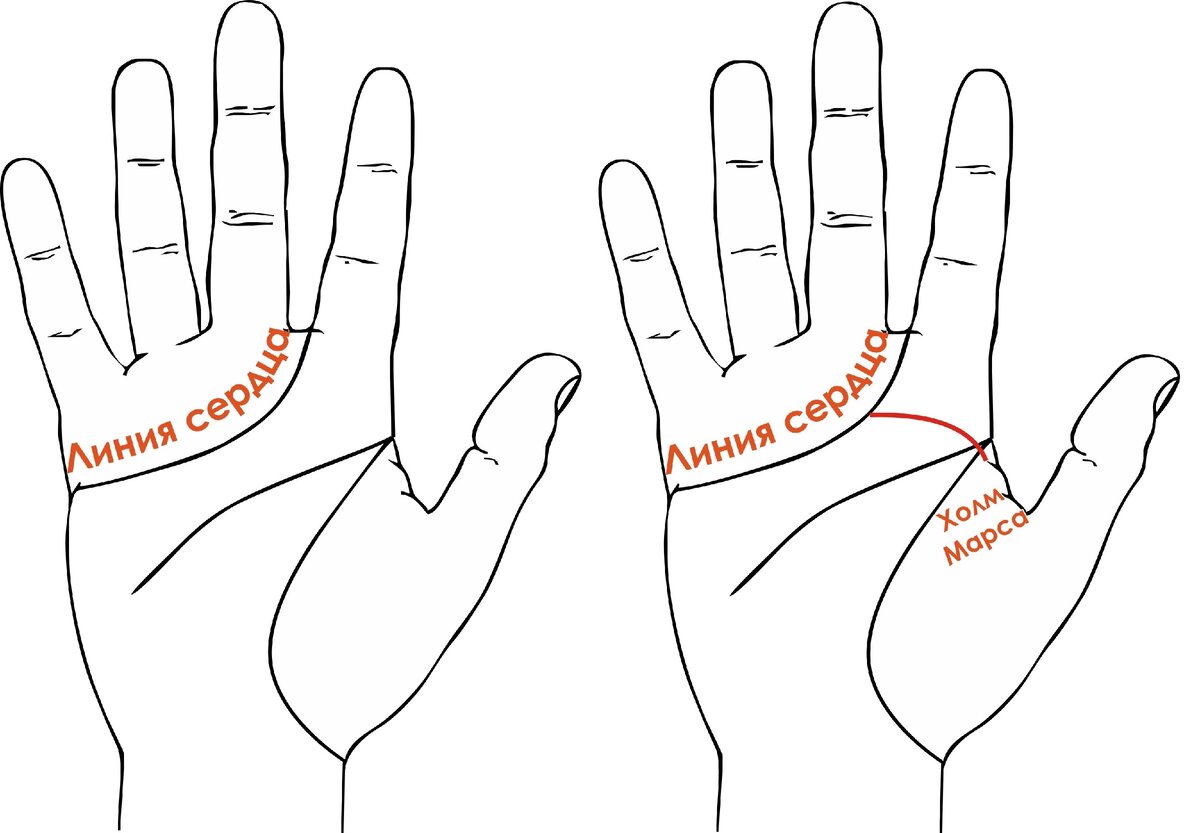 Оставайтесь на линии. Хиромантия линия сердца. Прямая линия сердца хиромантия. Островная линия сердца. Линия изогнутая с сердцем.