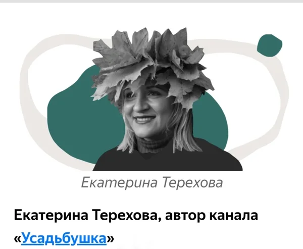 Как я дала интервью Дзену и что думаю по поводу формата "истории ...