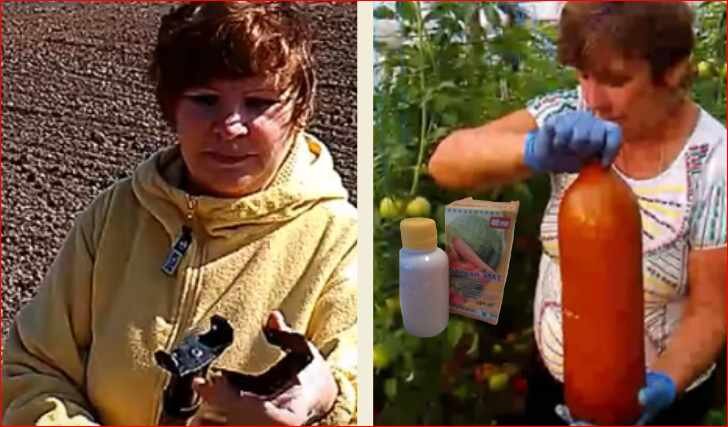 Более 10 лет применяю ЭМ-технологии на своем участке