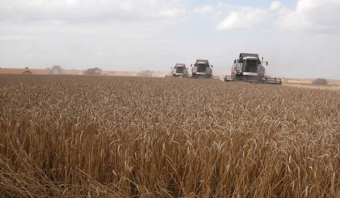 Обмолот зерновых в Терехтинском отделении хозяйства