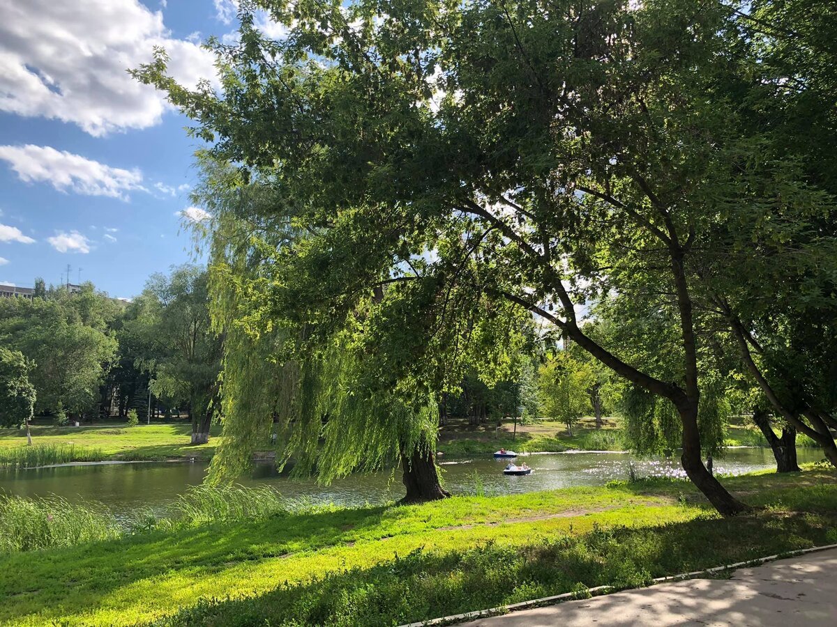 Воронежские озера. Парк воронежские озера. Парк воронежские озера в Самаре. Парк воронежские озера фотосамар. Парке 