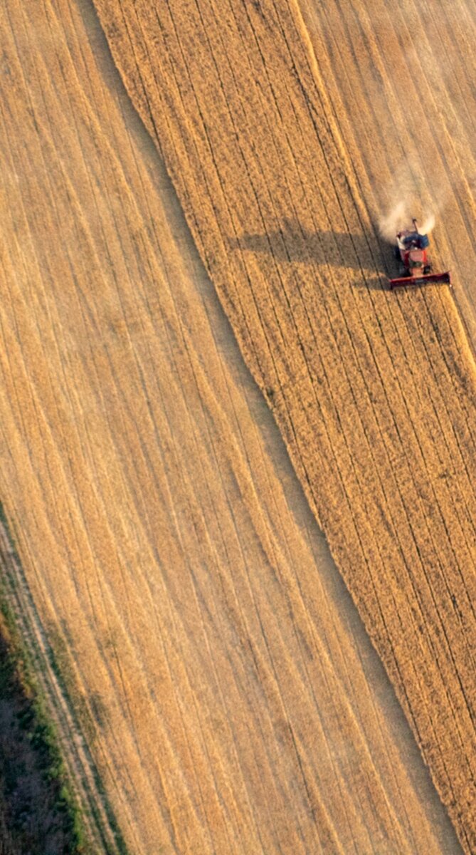 Это фото сделано на Тамрон 70-300. Высота 300 метров 