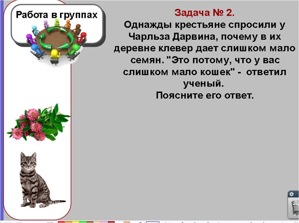 Урок на тему «Как ученые используют знания о цепях питания» | Елена Сова:  пуд соли в школе | Дзен