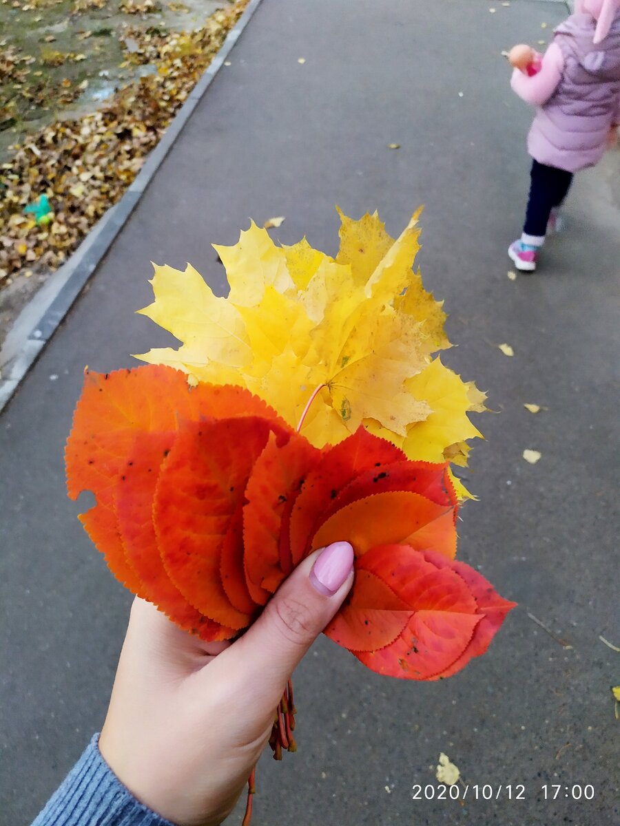 Собрали радужный букет. 