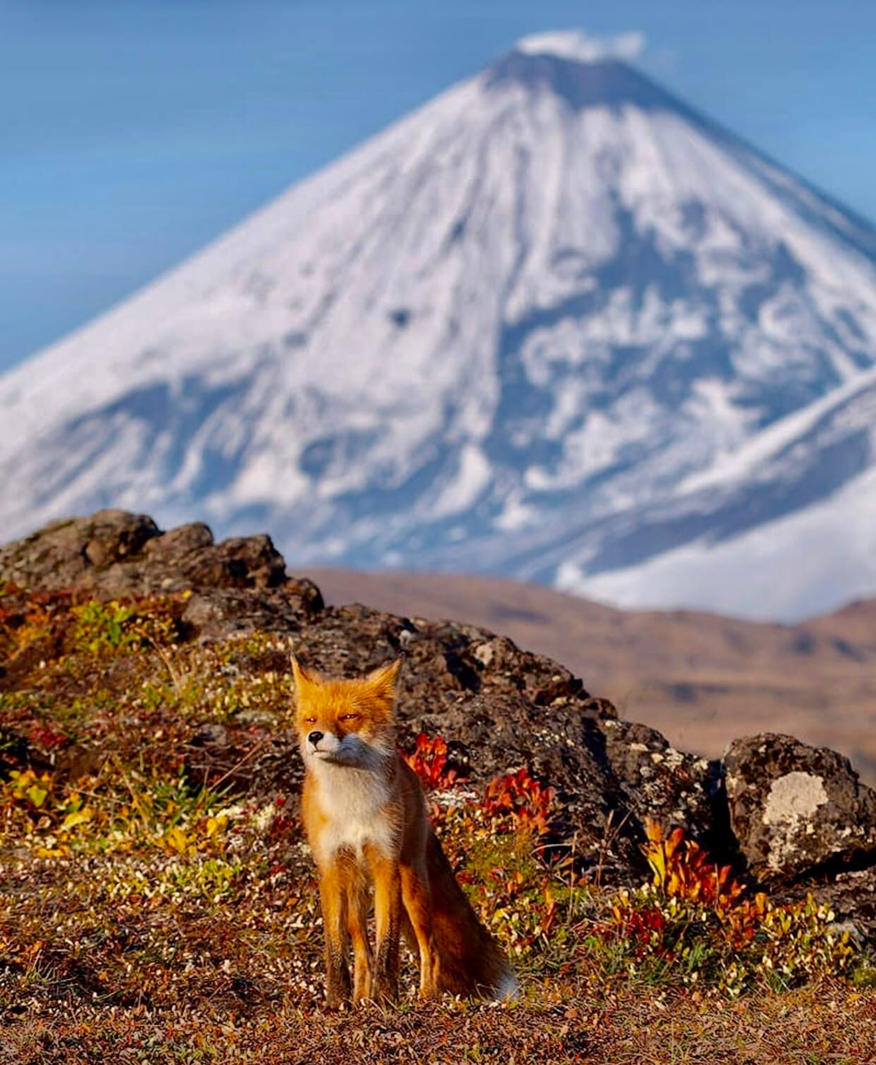 Источник: @_kill_your_sadness