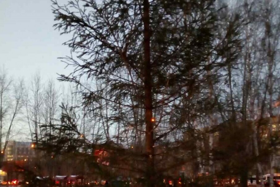 А как вам такое чудо 