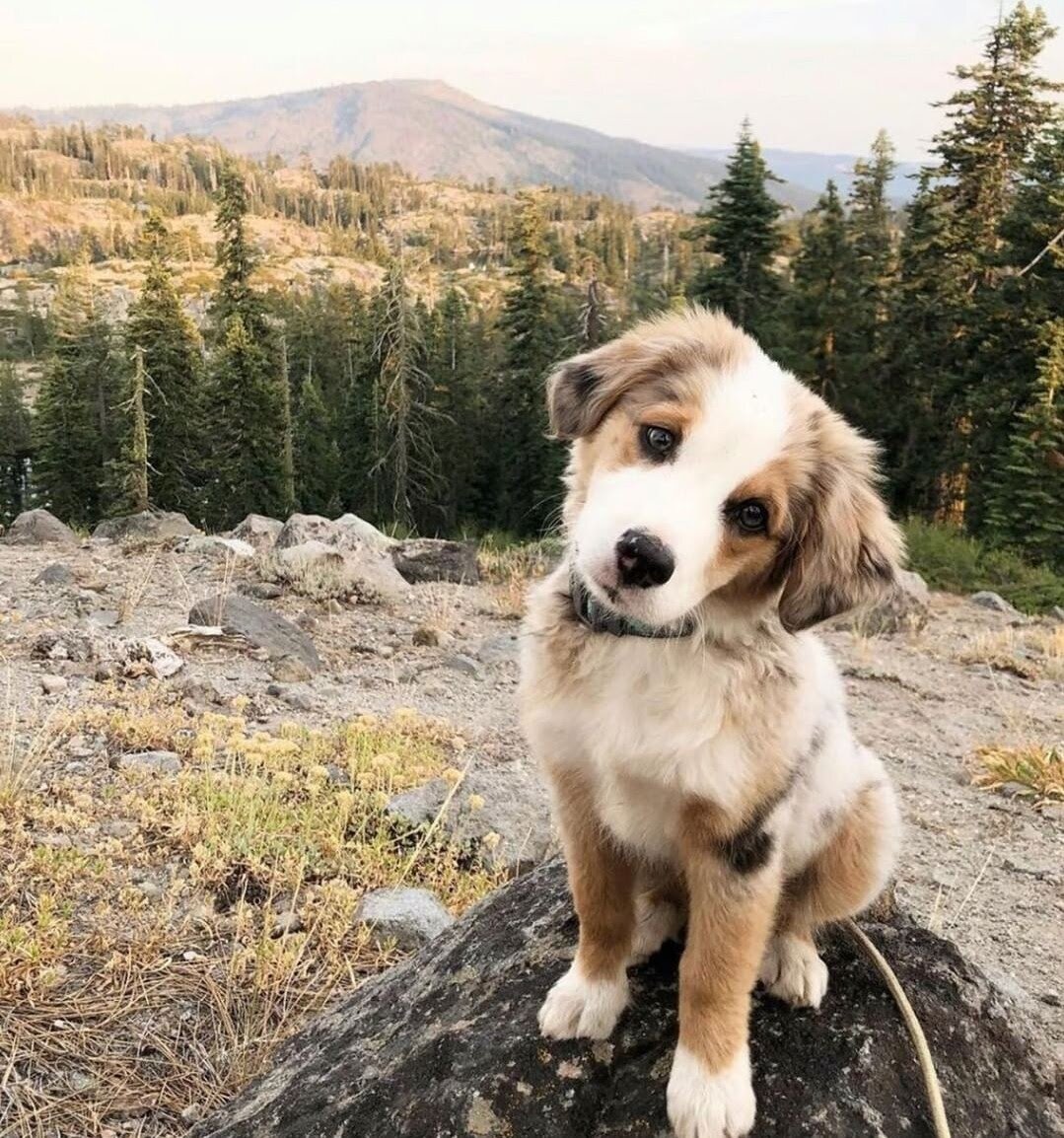 Такого невозможно оставить дома @thecuriousmaxx 