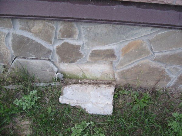 фото с сервиса яндекс-картинки