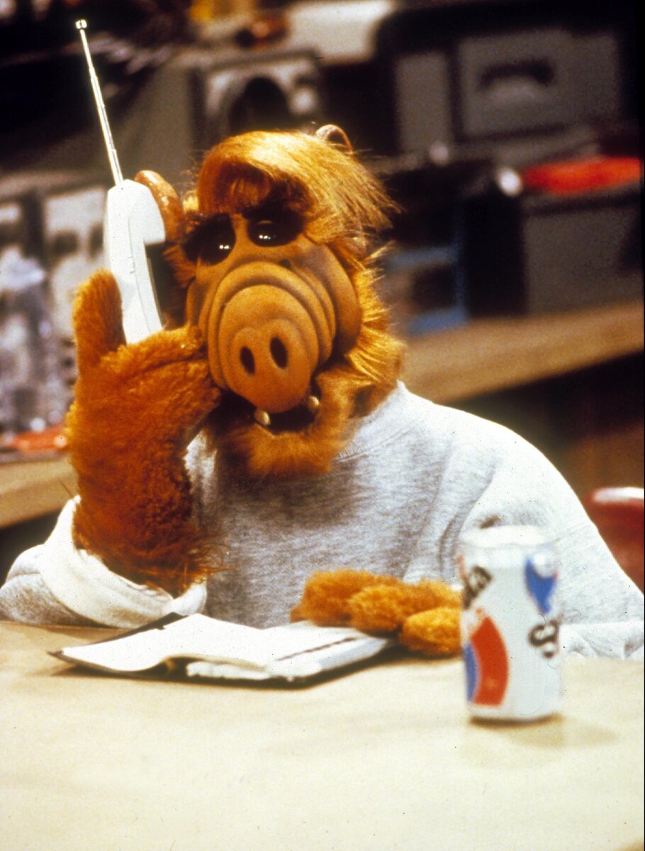 Фото взято из открытых источников