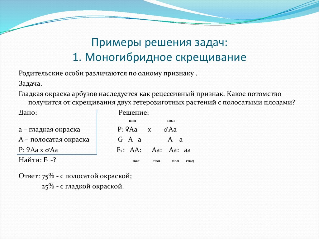 Сценарий урока по теме "Уравнение" (5 класс)