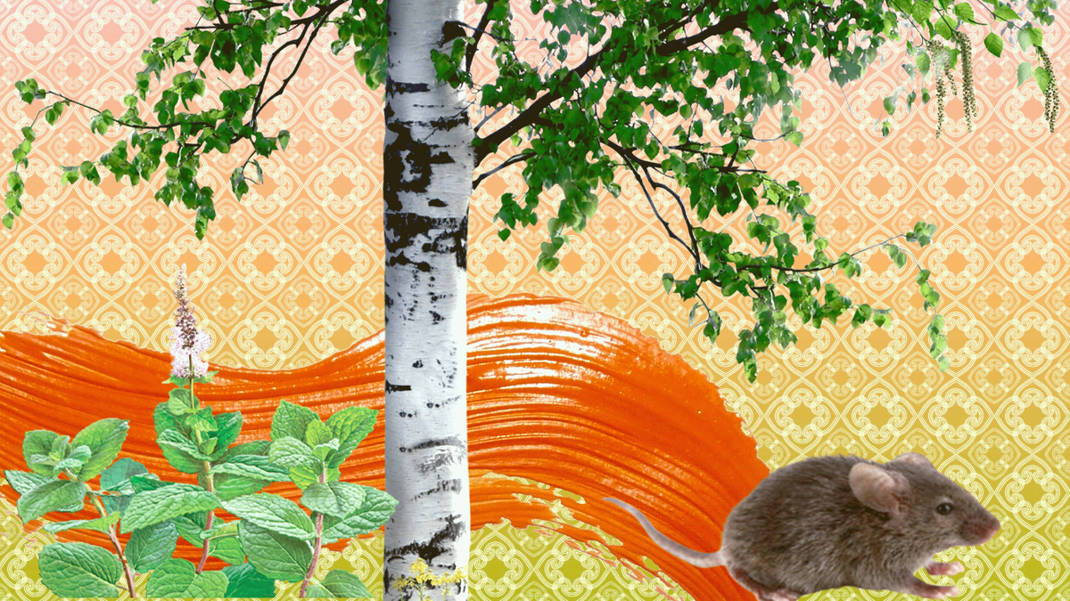 Подписывайтесь на канал и ставьте лайки.