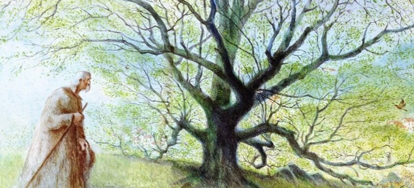 Кадр из мультфильма
